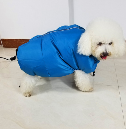 Caja secadora  para mascotas premium
