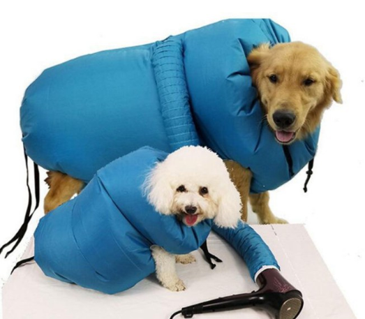 Caja secadora  para mascotas premium